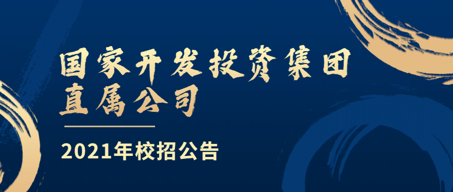 国投交通控股有限公司(以下简称公司)是国家开发投资公司的全资子公司